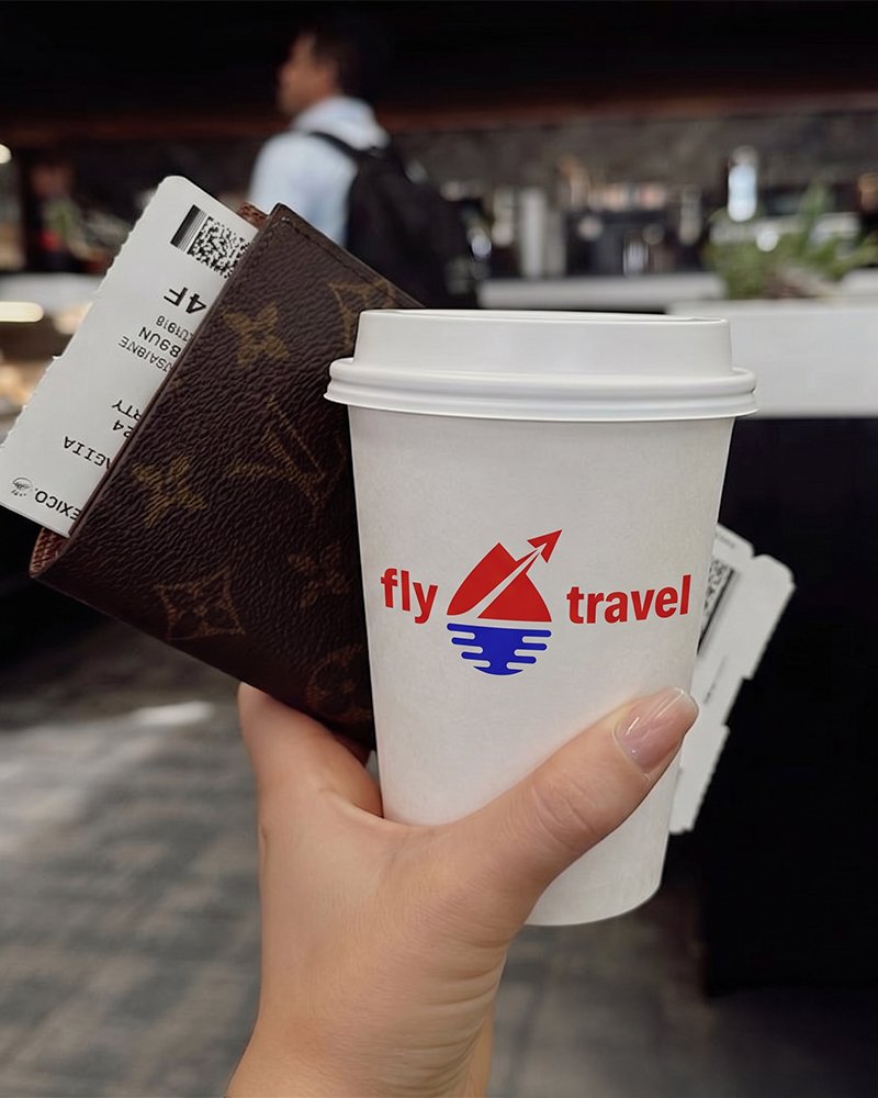 FLY TRAVEL